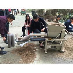 食用菌菌種產業(yè)與貿易全景解析 從設備技術到國際流通