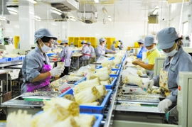 通州借勢打造食用菌產業帶，構筑菌種進出口新高地